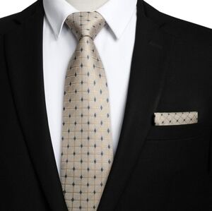 Hisdern Beige & Blue Checkered Tie with Matching Pocket Square, Silk Blend, NIB